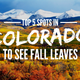 Illustration for article titled Top 5 Spots In Colorado To See The Fall Leaves This Year